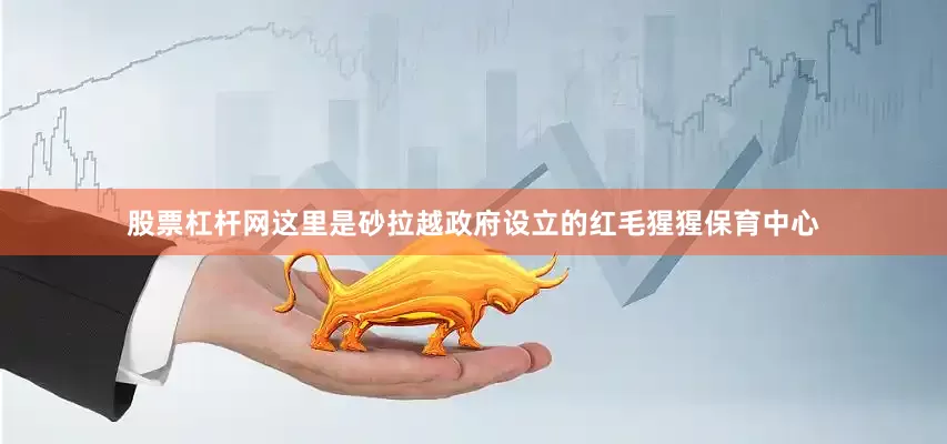 股票杠杆网这里是砂拉越政府设立的红毛猩猩保育中心
